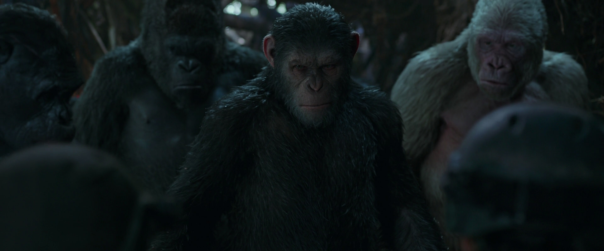 War for the Planet of the Apes (2017) movie still 883