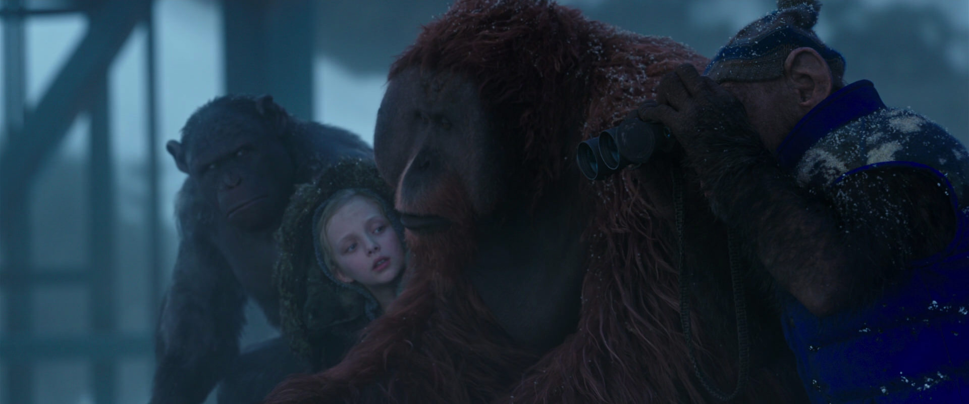 War for the Planet of the Apes (2017) movie still 8830