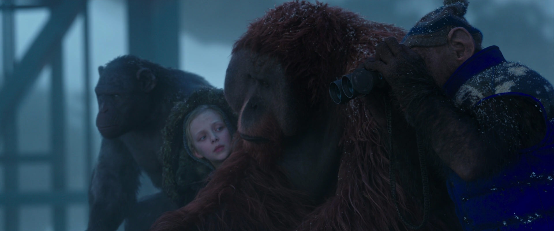 War for the Planet of the Apes (2017) movie still 8833