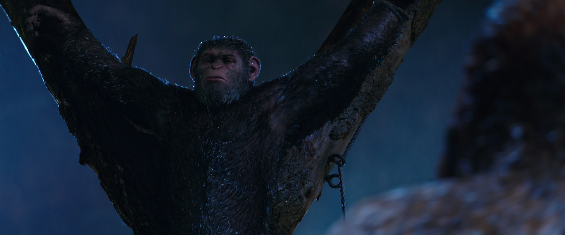 War for the Planet of the Apes (2017) HD screenshot 8840