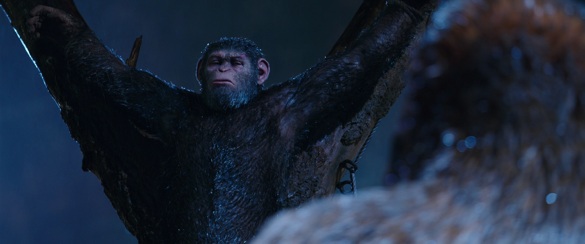 War for the Planet of the Apes (2017) screencap 8841