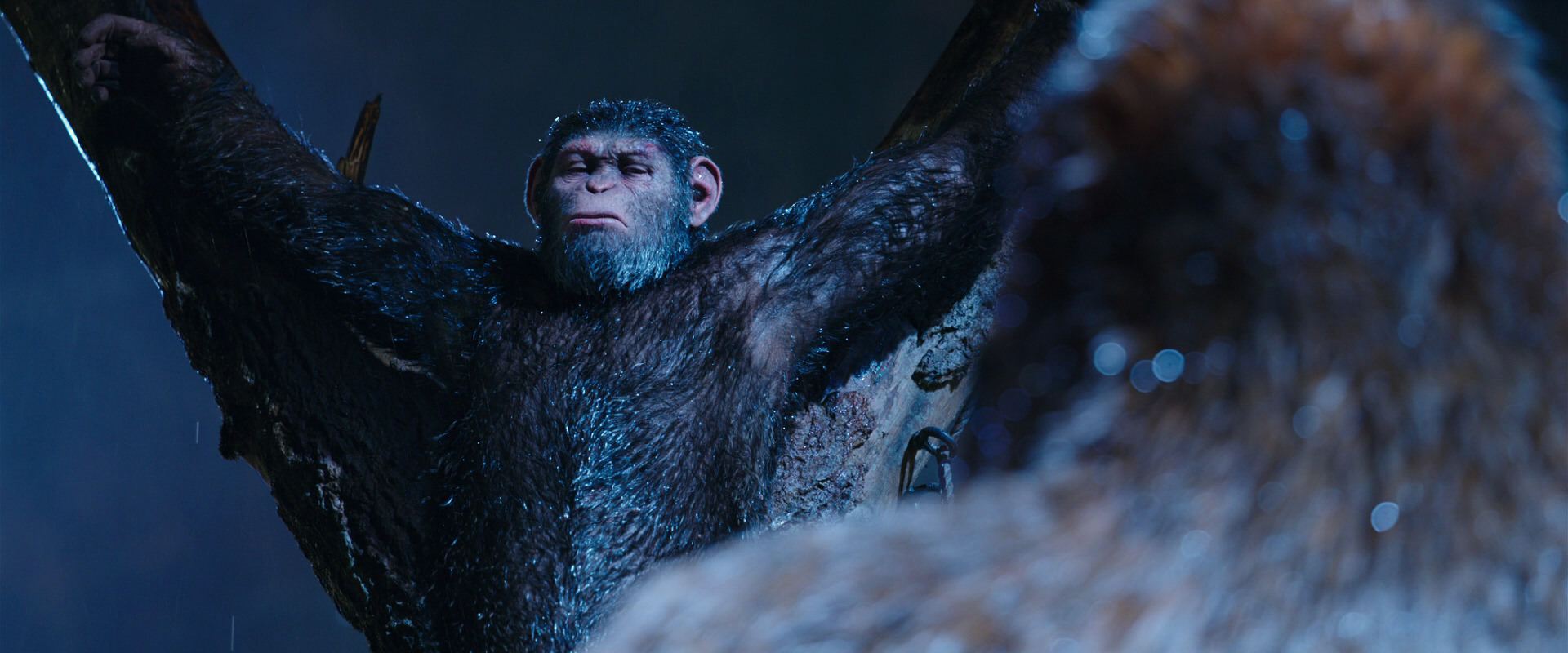 War for the Planet of the Apes (2017) movie still 8842