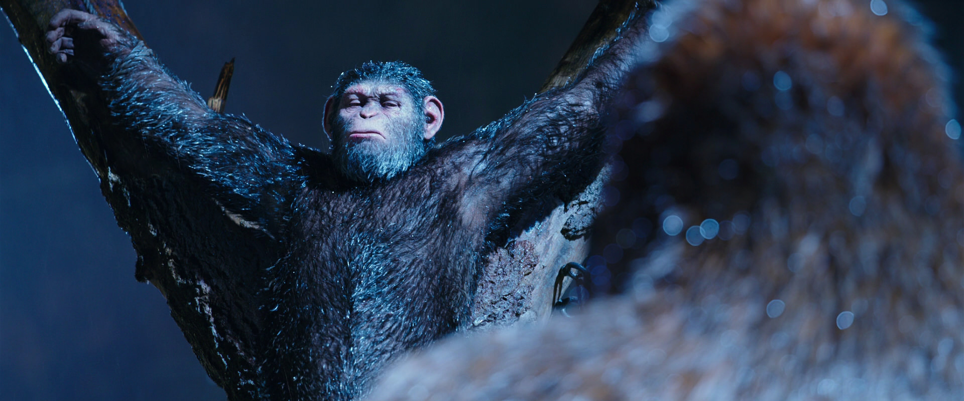 War for the Planet of the Apes (2017) HD screenshot 8843