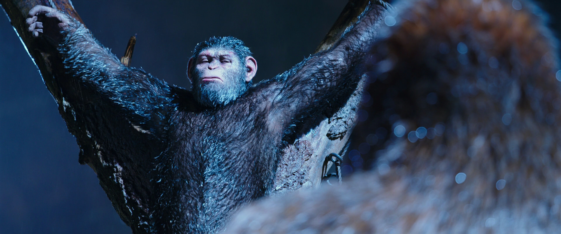 War for the Planet of the Apes (2017) screencap 8844