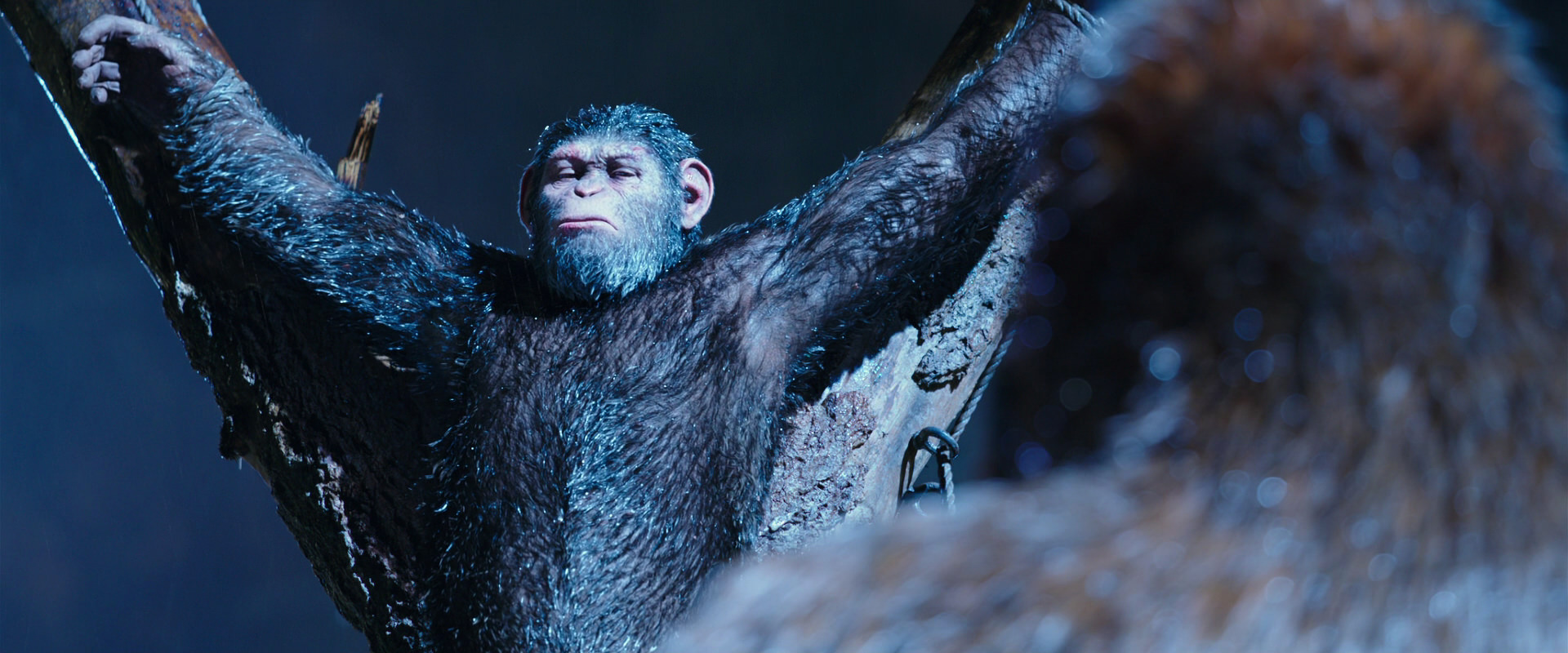 War for the Planet of the Apes (2017) movie still 8845
