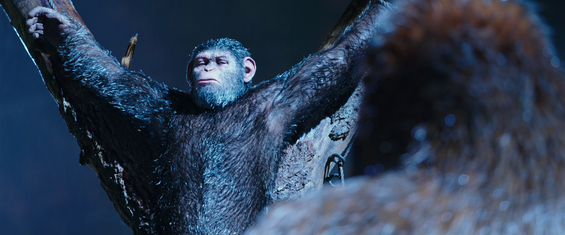 War for the Planet of the Apes (2017) HD screenshot 8846