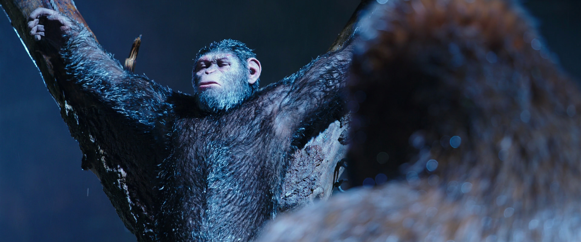 War for the Planet of the Apes (2017) screencap 8847