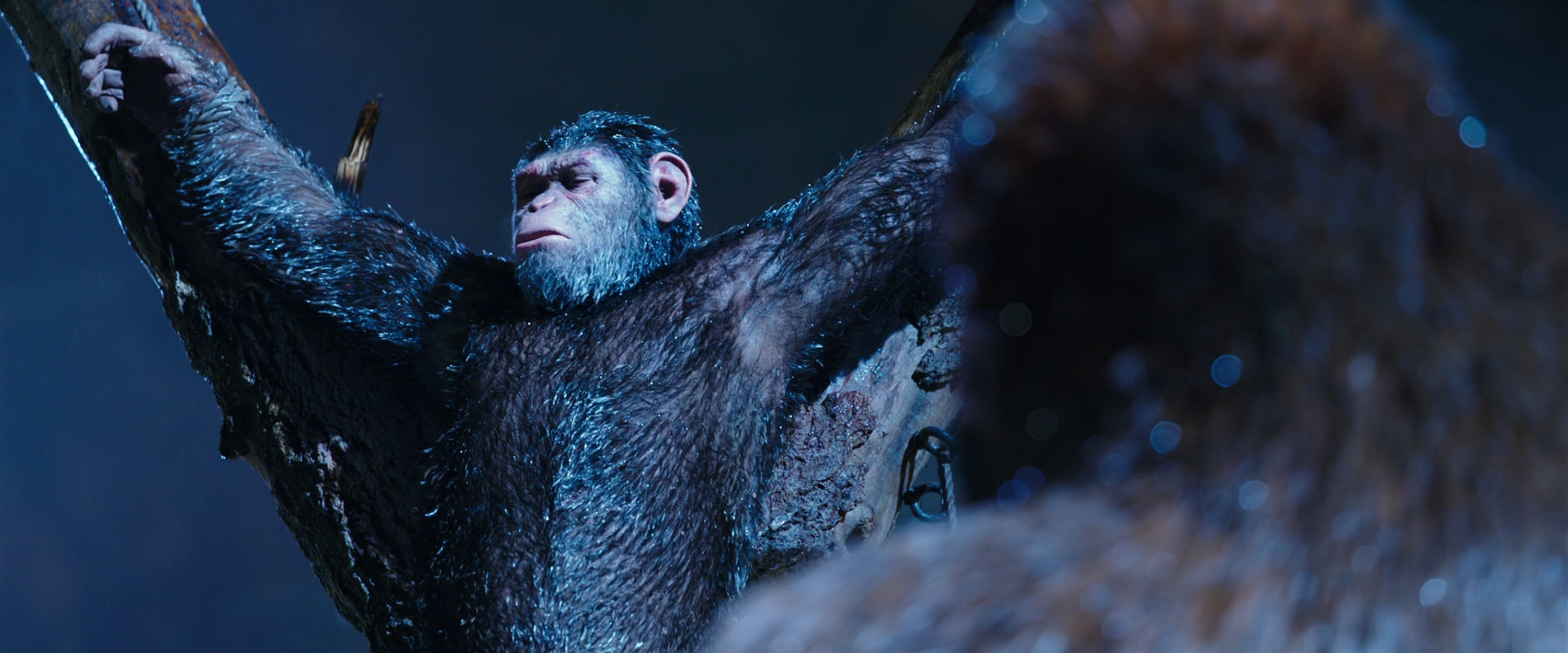 War for the Planet of the Apes (2017) movie still 8848