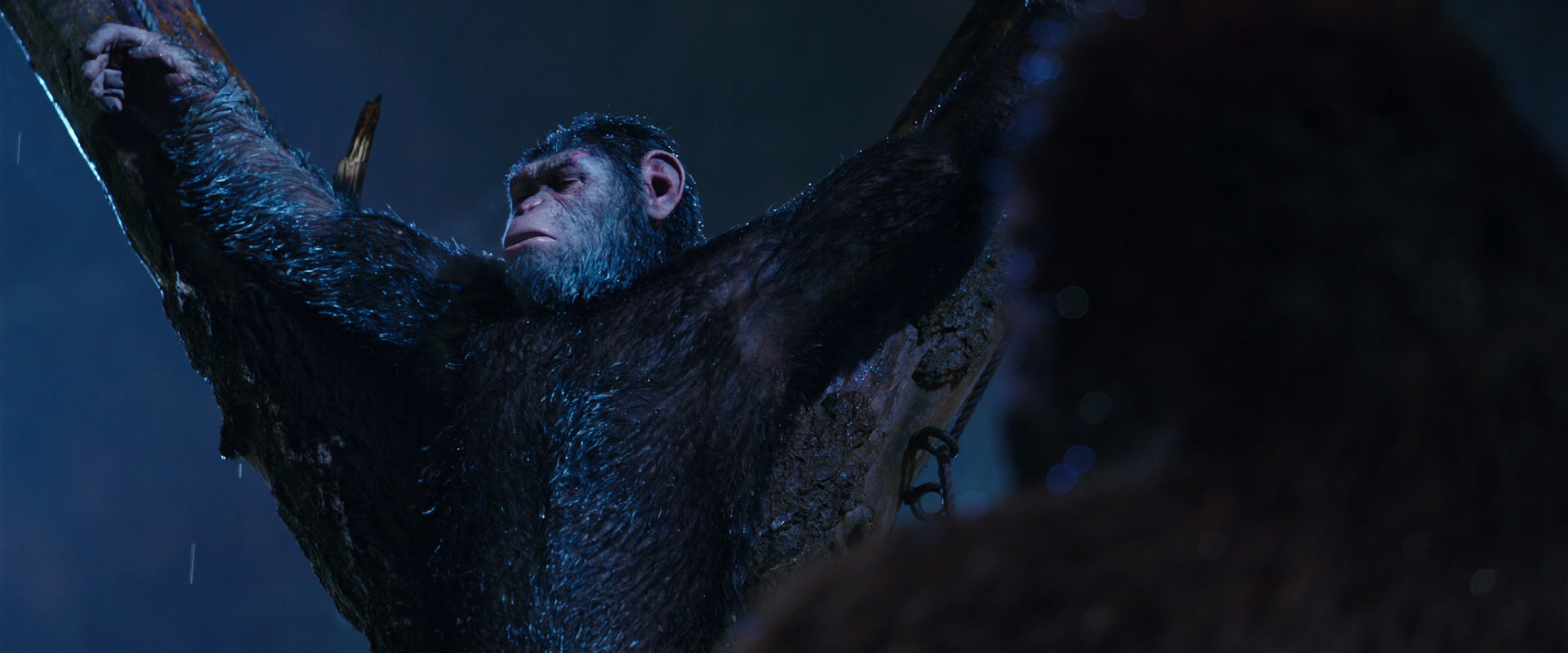 War for the Planet of the Apes (2017) HD screenshot 8849