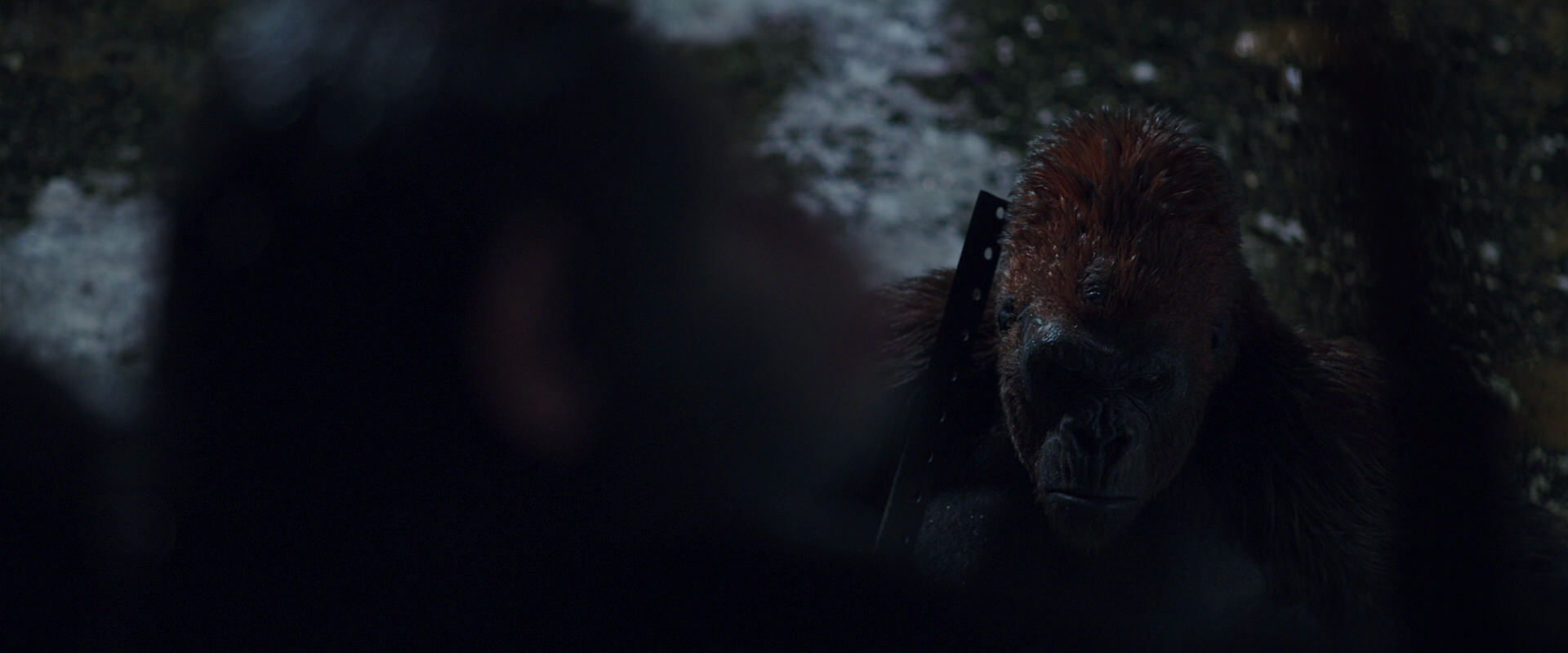 War for the Planet of the Apes (2017) screencap 8850