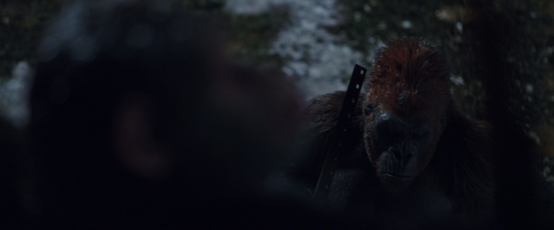 War for the Planet of the Apes (2017) movie still 8851