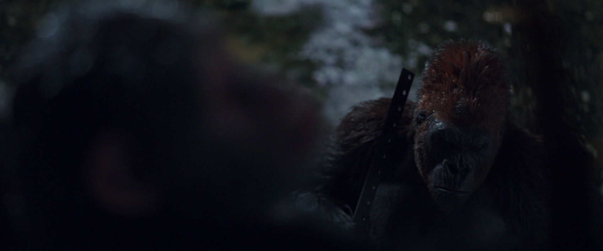 War for the Planet of the Apes (2017) HD screenshot 8852