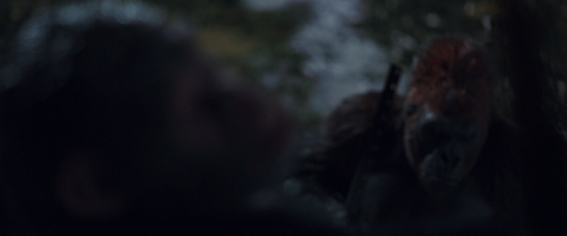 War for the Planet of the Apes (2017) screencap 8853