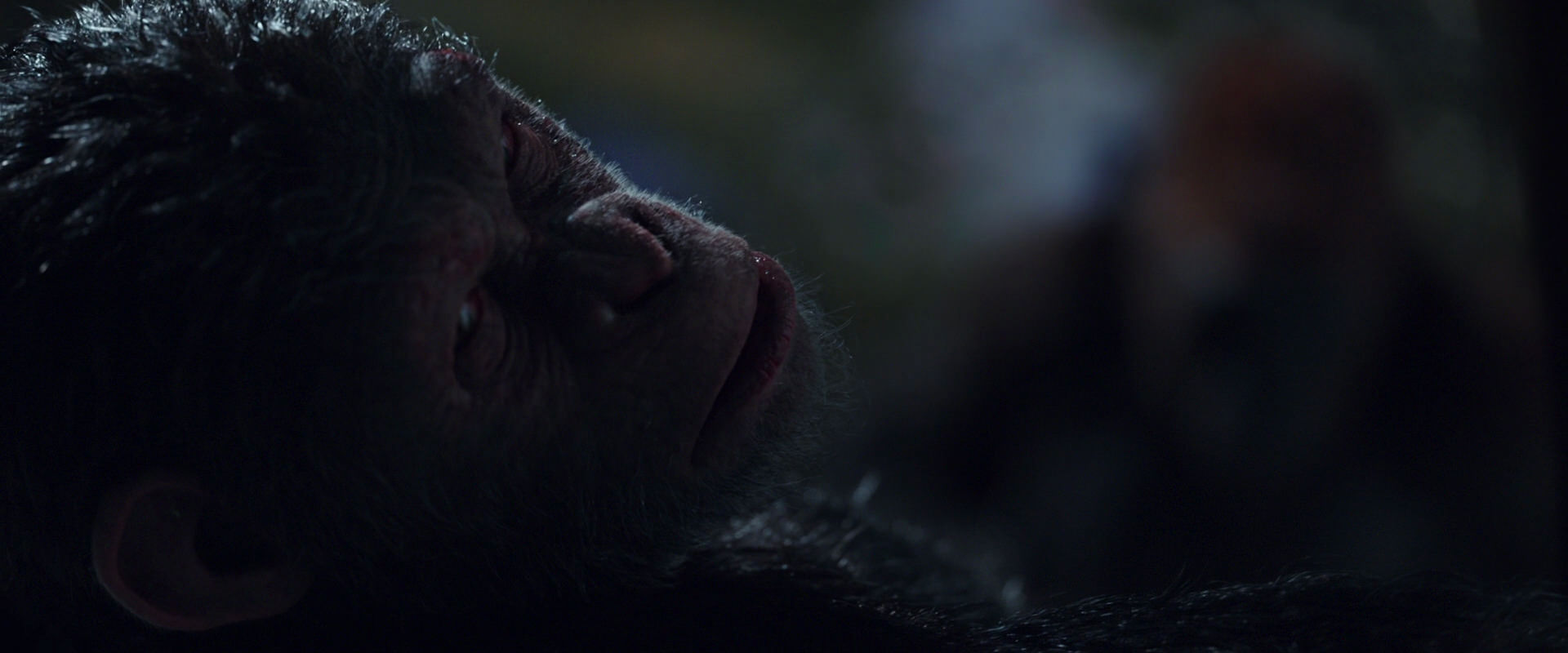 War for the Planet of the Apes (2017) movie still 8857