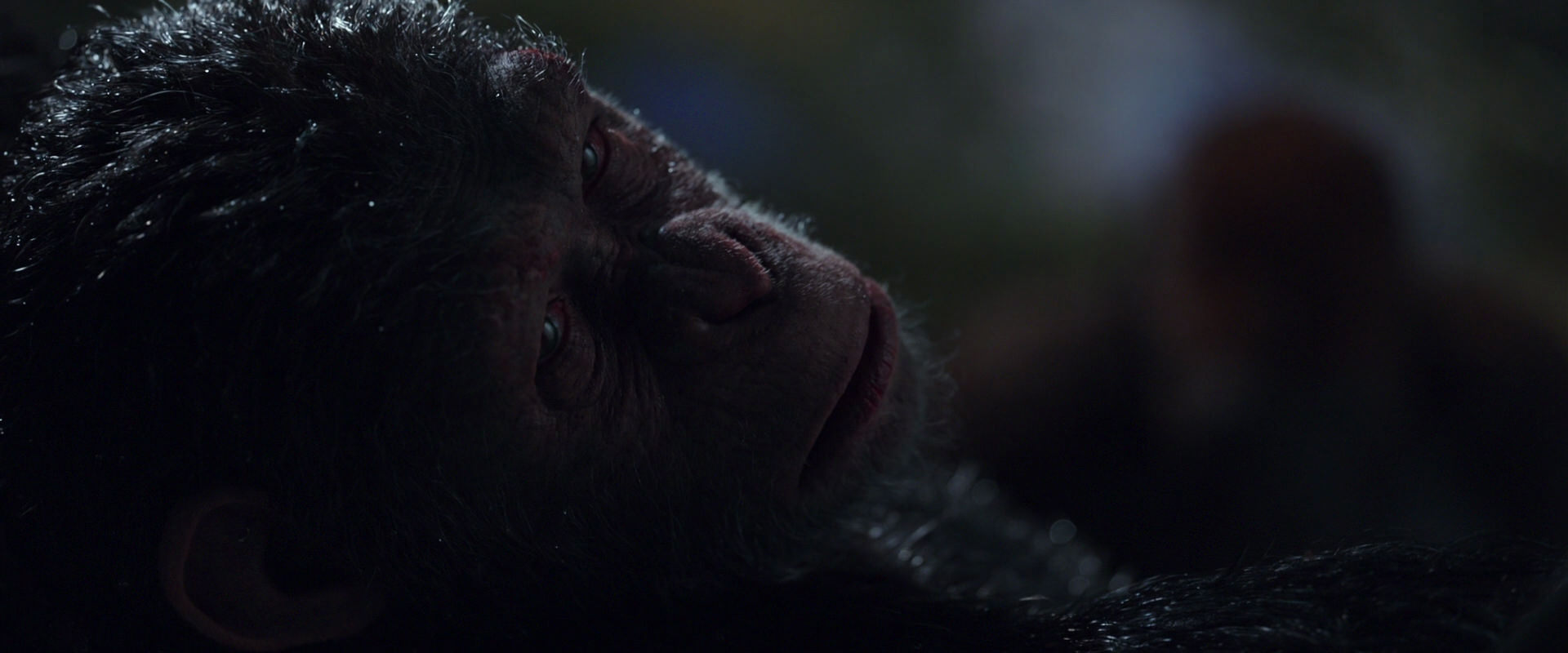 War for the Planet of the Apes (2017) screencap 8862