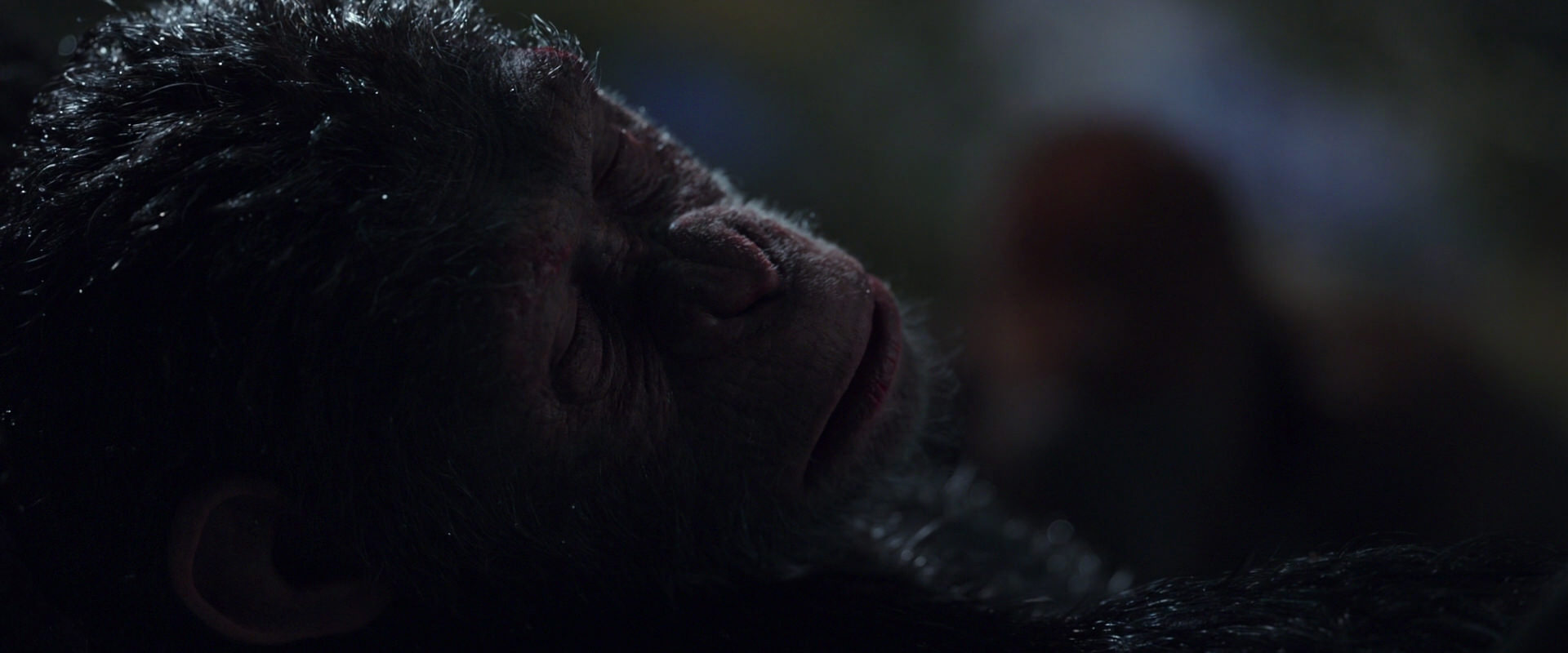 War for the Planet of the Apes (2017) movie still 8863