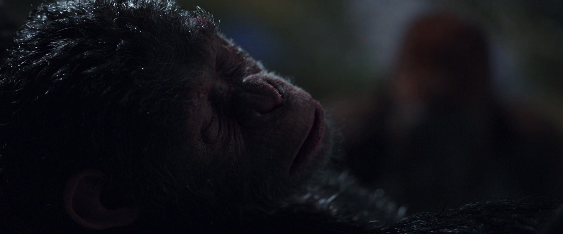War for the Planet of the Apes (2017) HD screenshot 8864