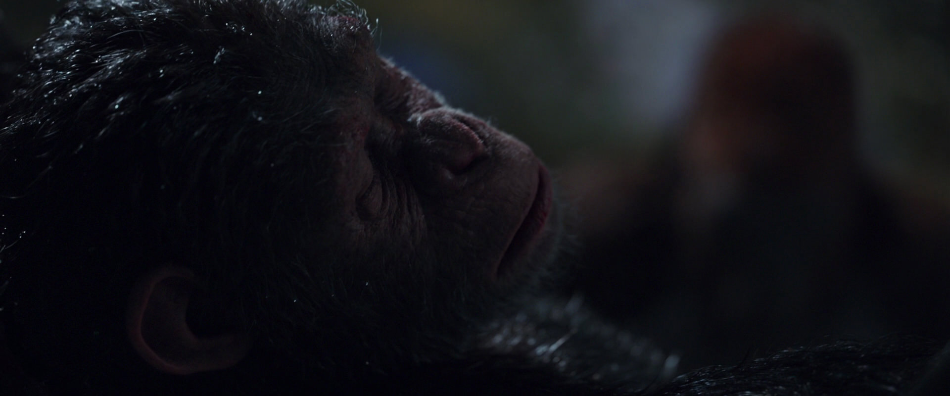War for the Planet of the Apes (2017) screencap 8865