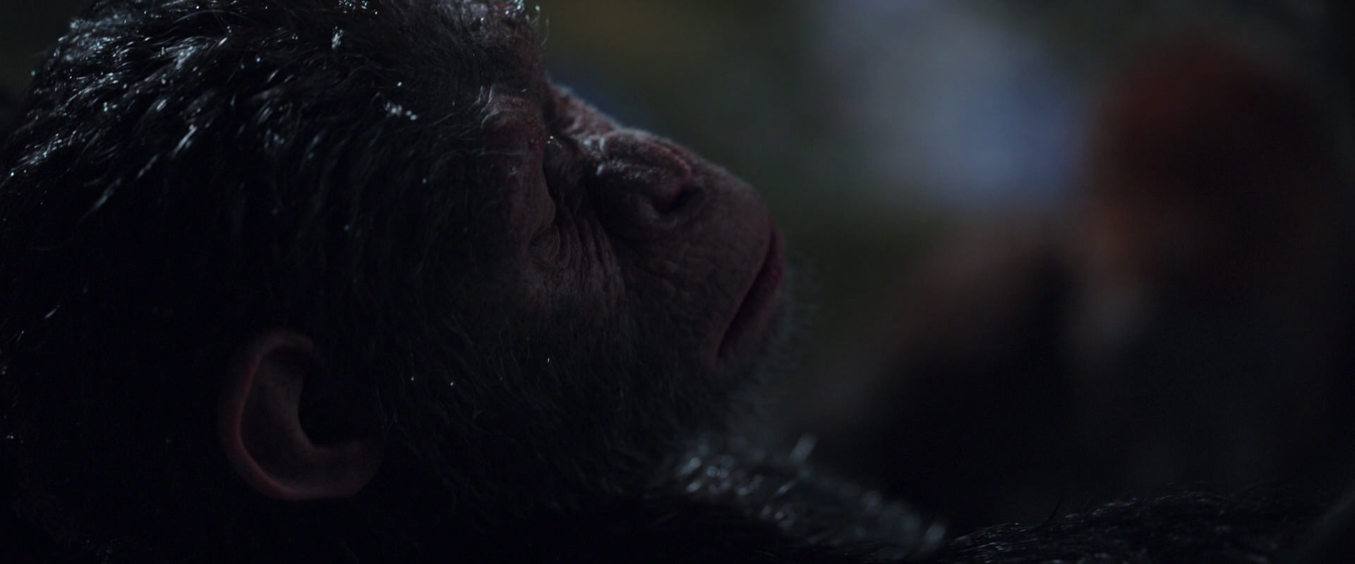 War for the Planet of the Apes (2017) movie still 8866