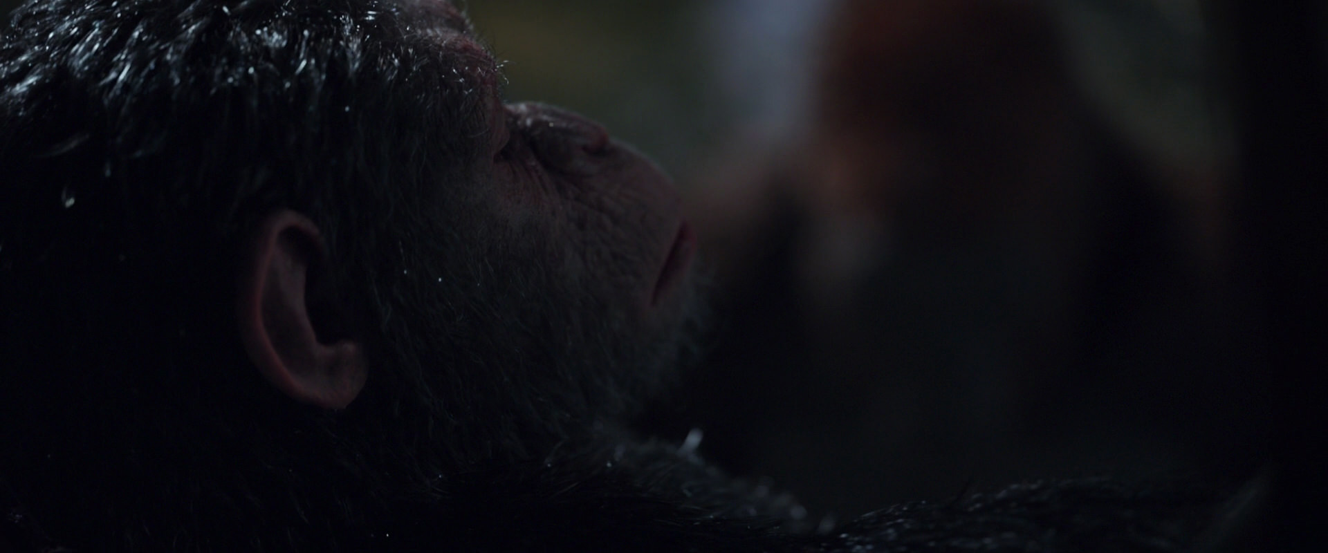 War for the Planet of the Apes (2017) screencap 8868