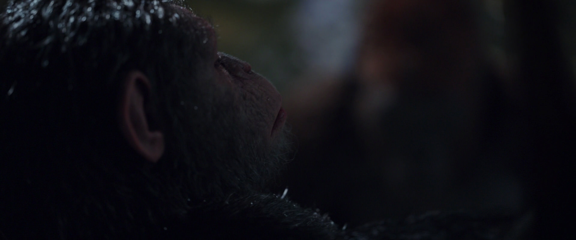War for the Planet of the Apes (2017) movie still 8869