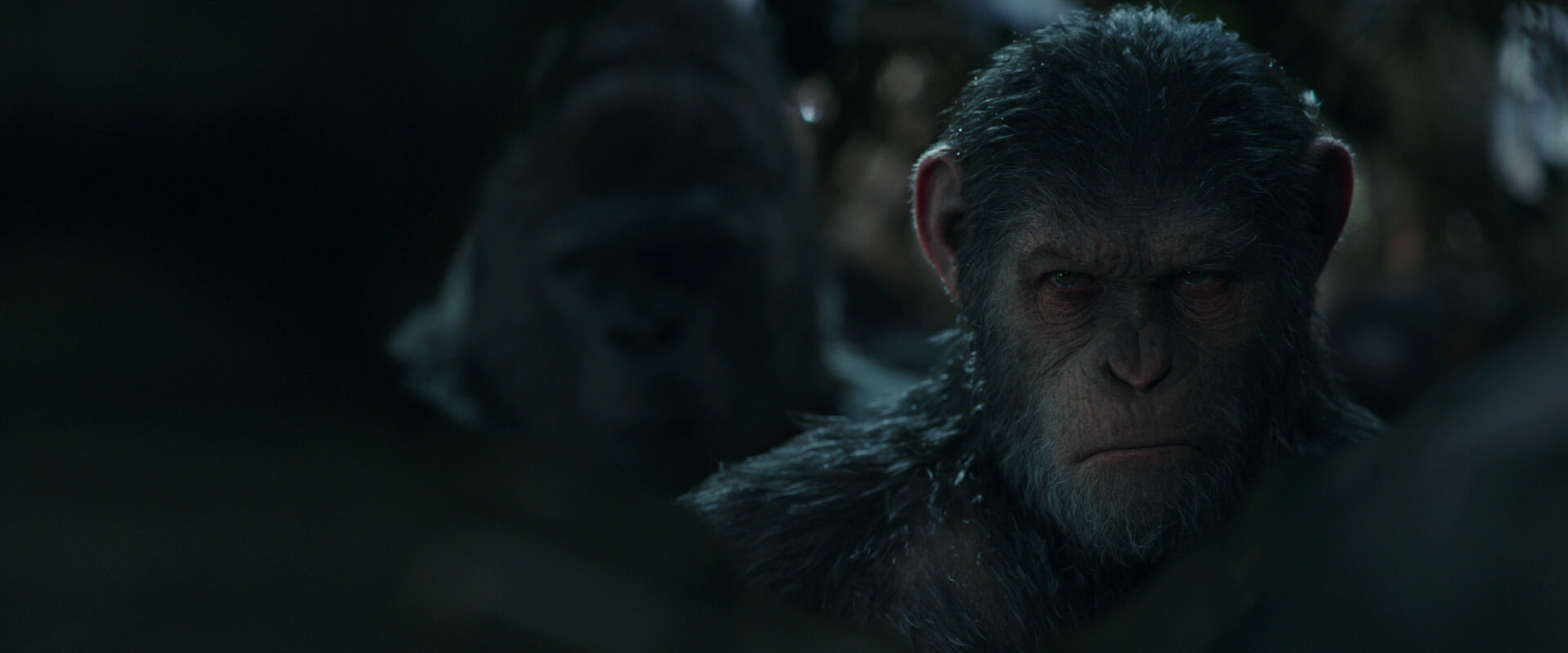 War for the Planet of the Apes (2017) HD screenshot 887