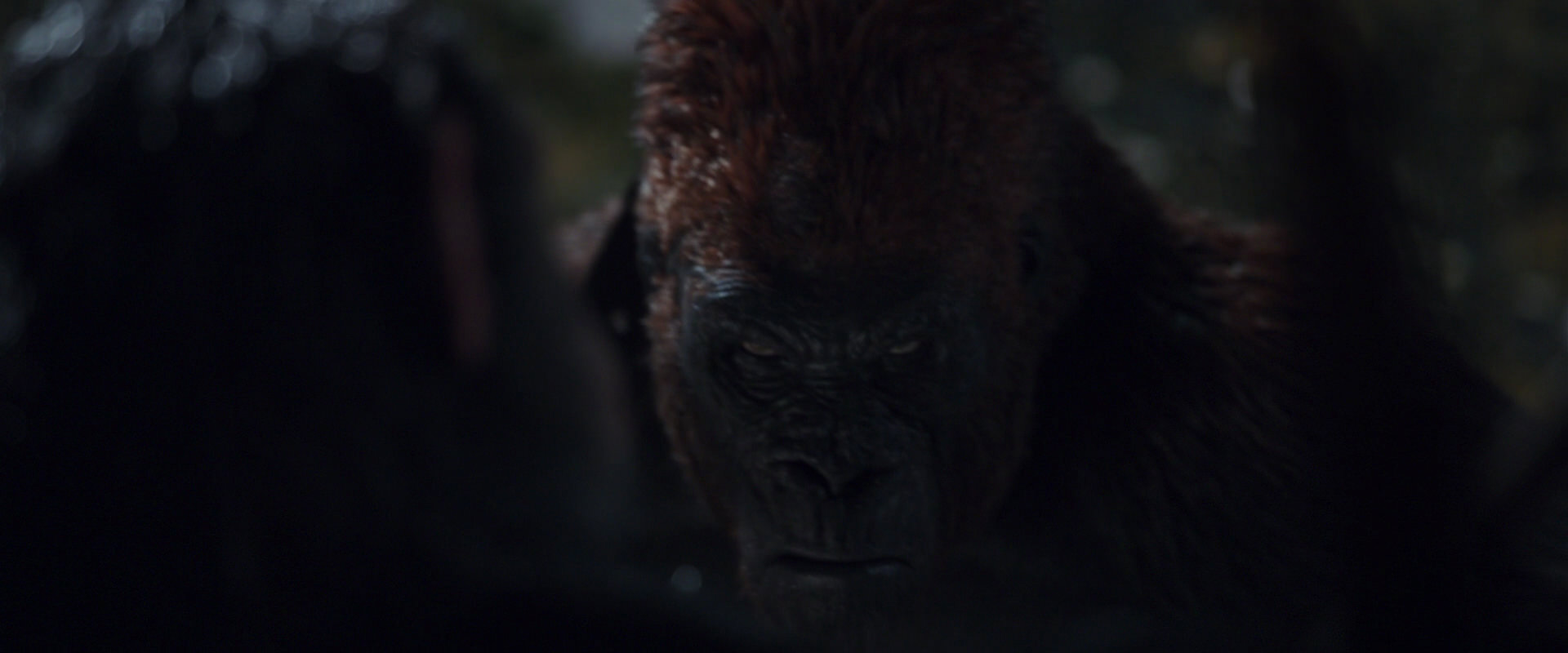 War for the Planet of the Apes (2017) HD screenshot 8873