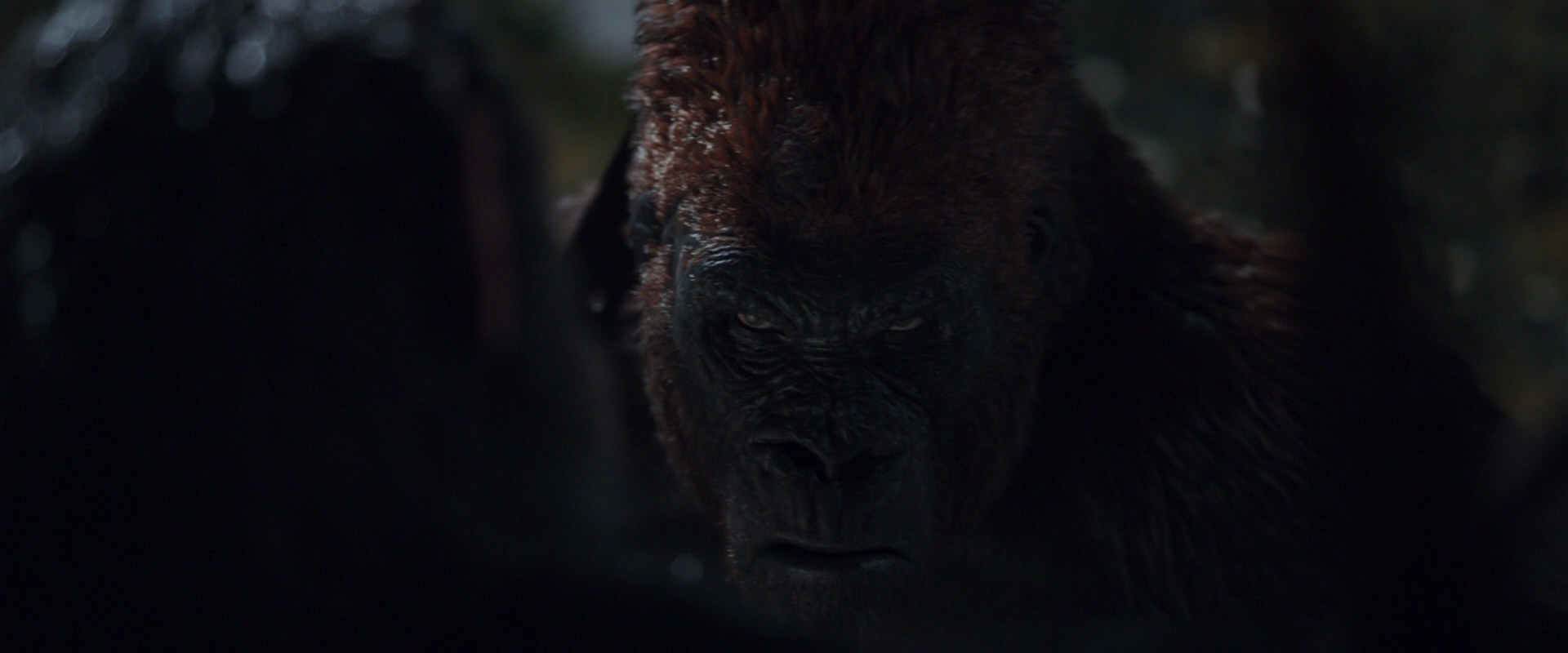 War for the Planet of the Apes (2017) screencap 8874