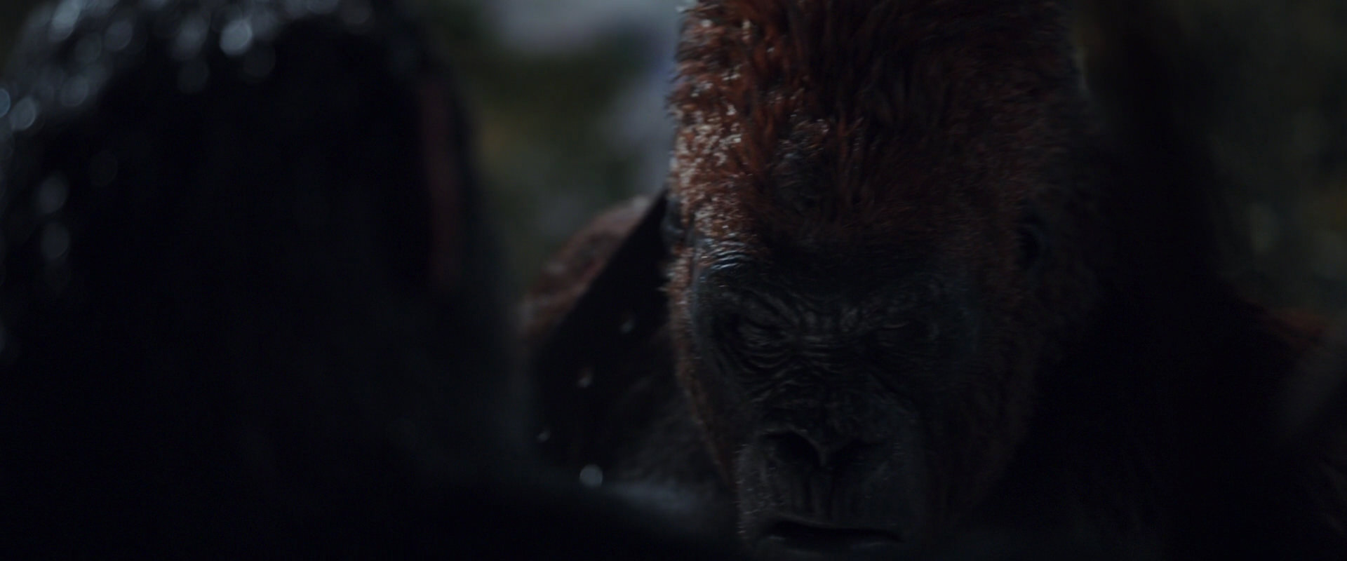 War for the Planet of the Apes (2017) movie still 8875