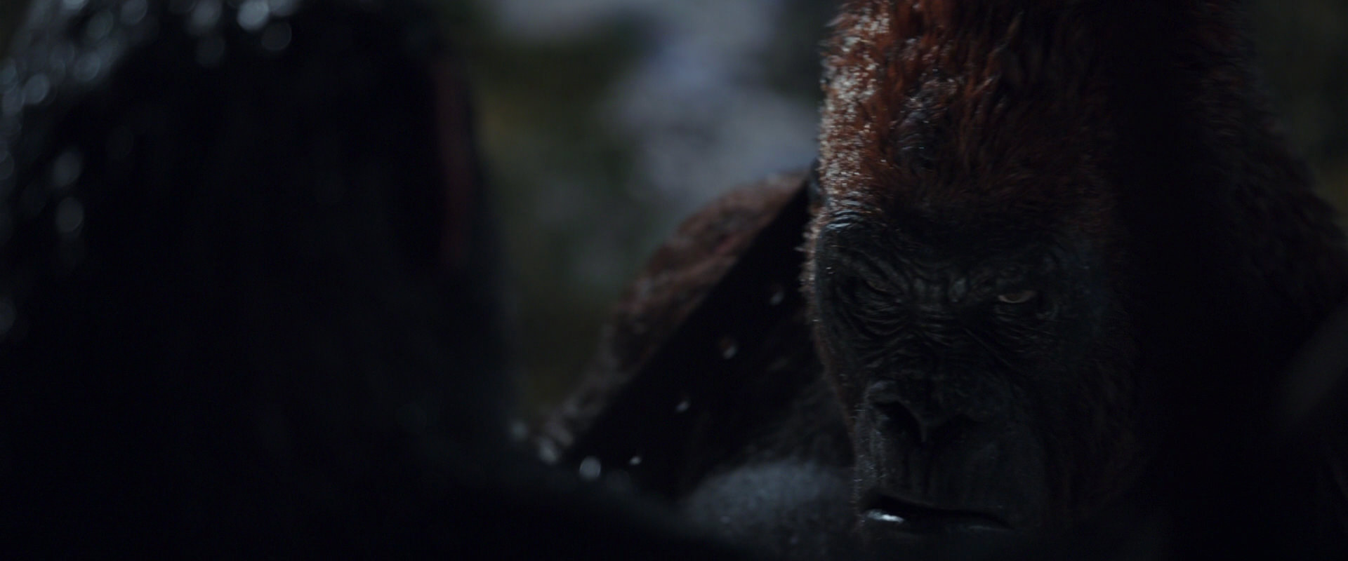 War for the Planet of the Apes (2017) HD screenshot 8876