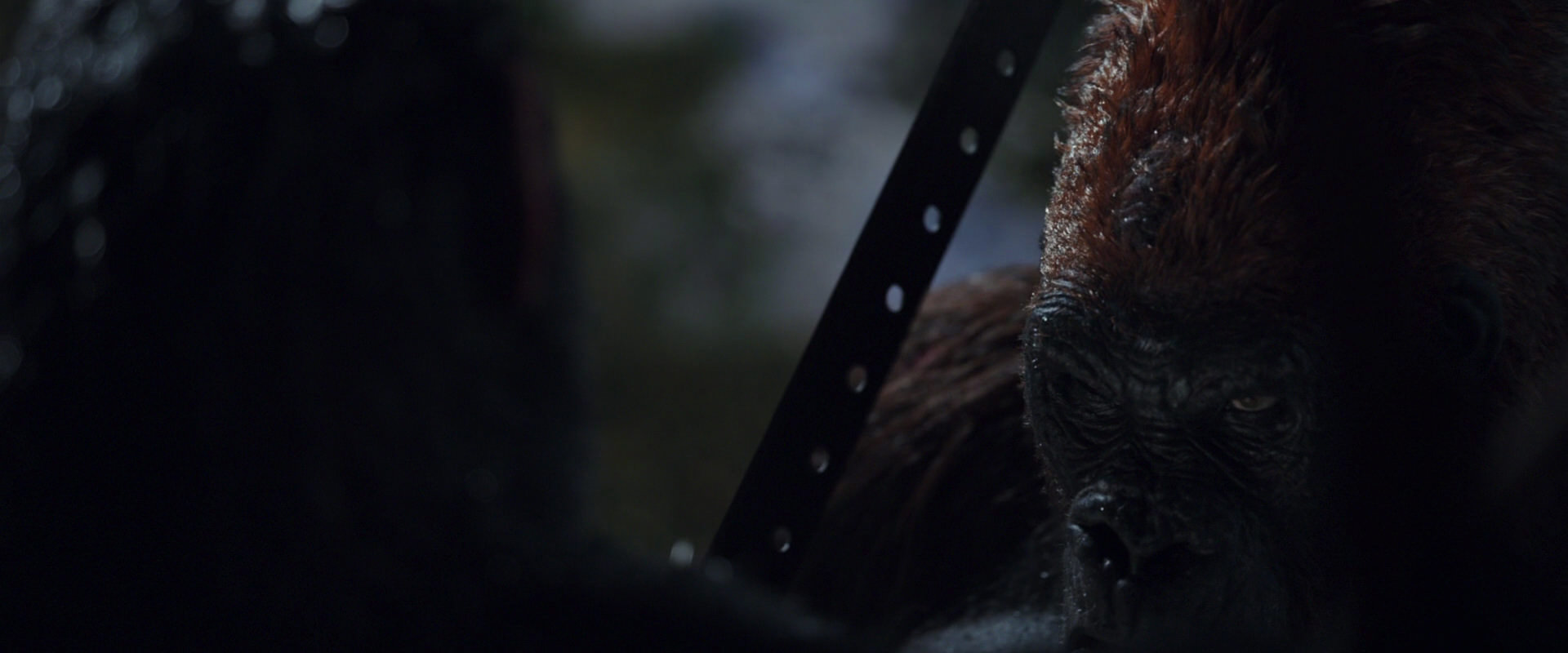 War for the Planet of the Apes (2017) screencap 8877