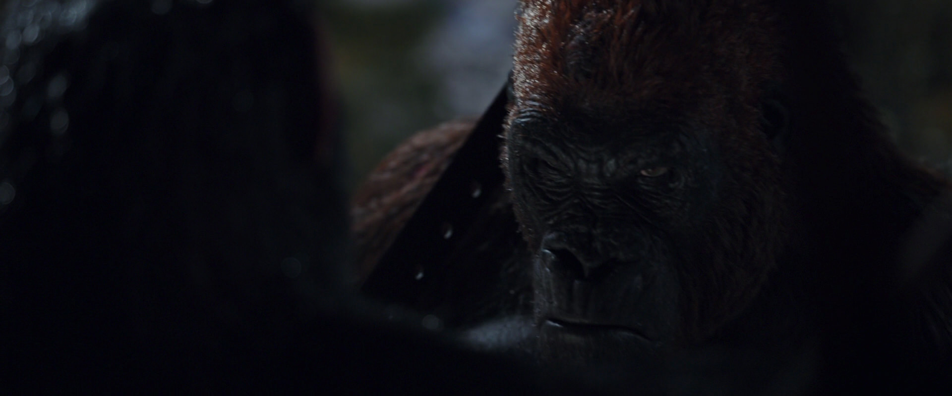War for the Planet of the Apes (2017) HD screenshot 8879
