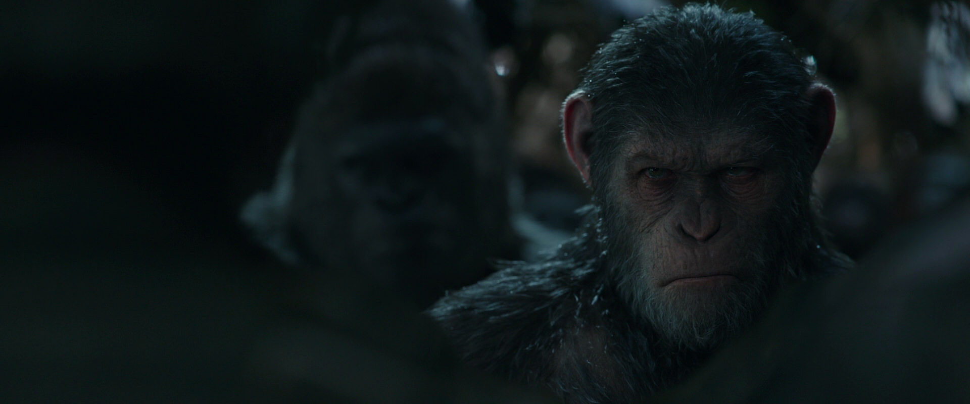 War for the Planet of the Apes (2017) screencap 888
