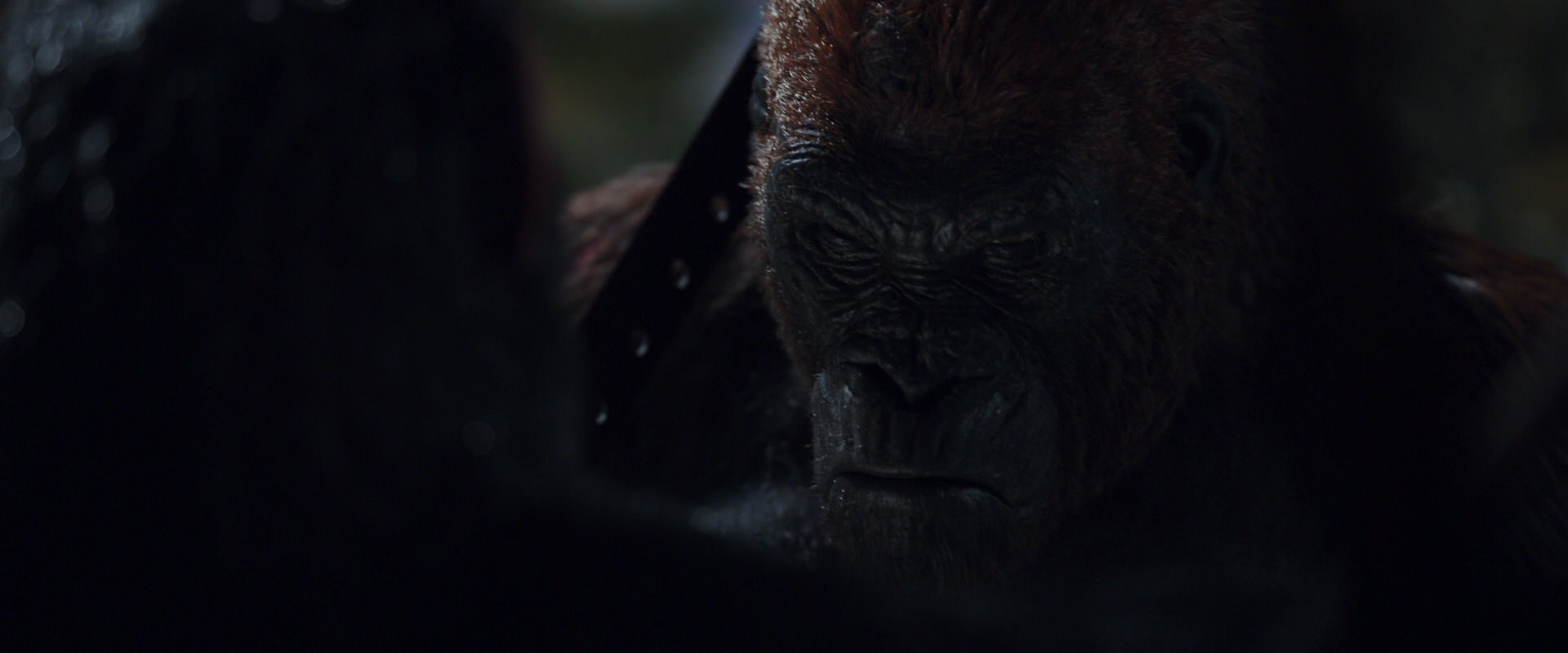 War for the Planet of the Apes (2017) screencap 8880