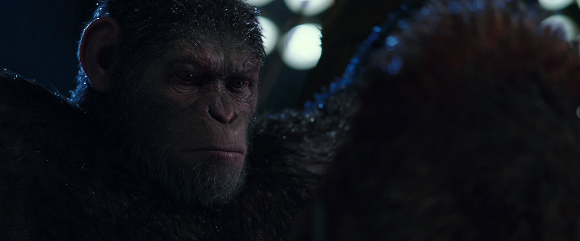 War for the Planet of the Apes (2017) movie still 8881