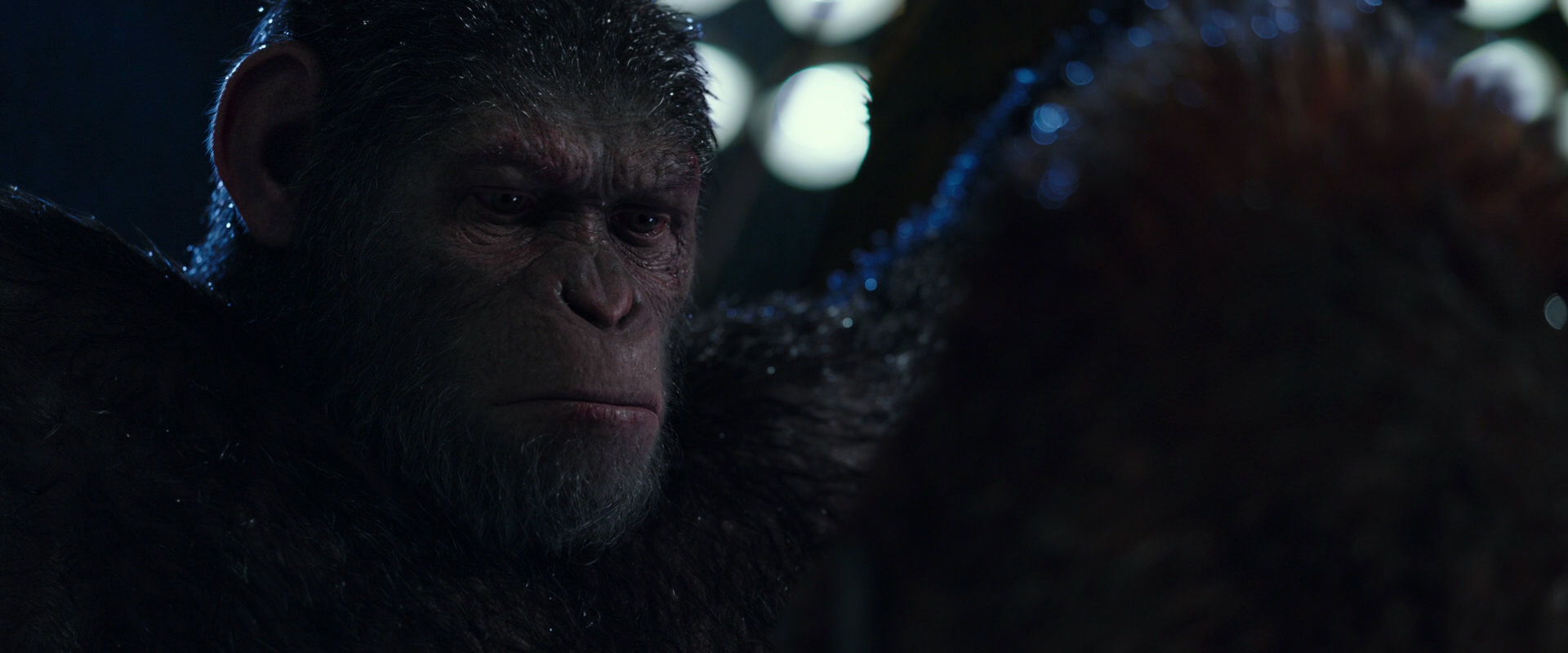War for the Planet of the Apes (2017) HD screenshot 8882