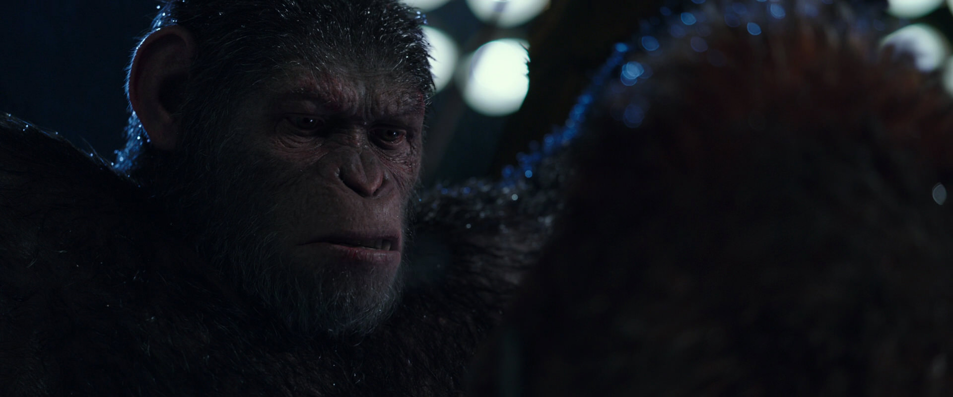 War for the Planet of the Apes (2017) screencap 8883