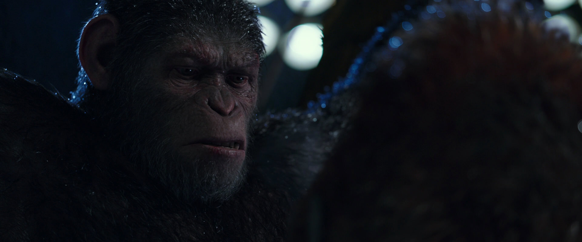 War for the Planet of the Apes (2017) movie still 8884