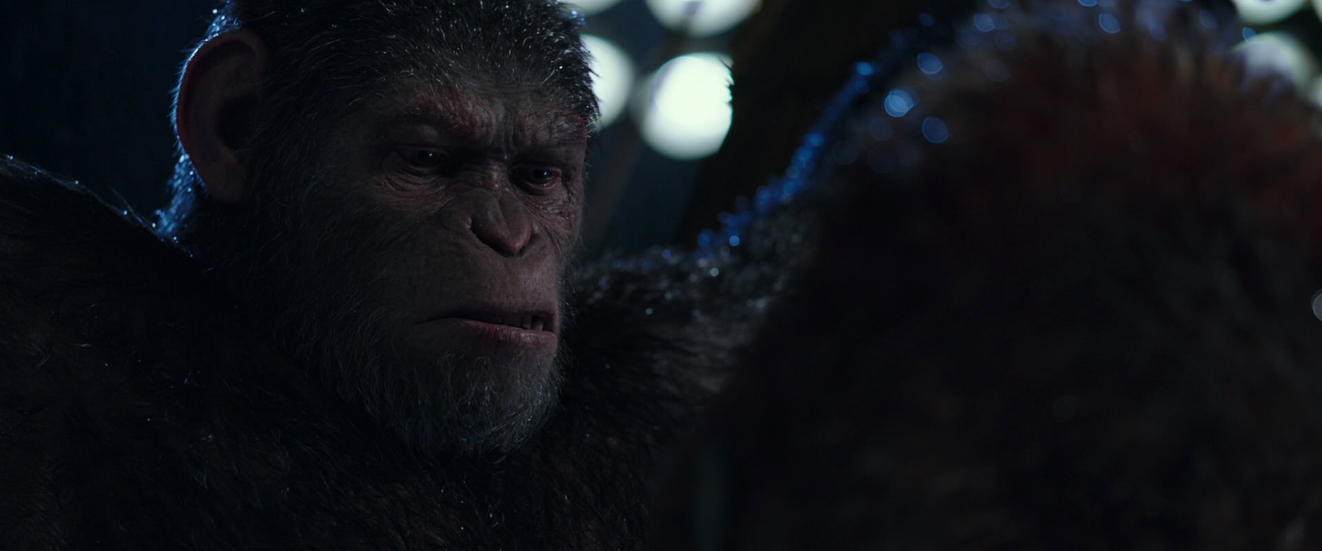 War for the Planet of the Apes (2017) HD screenshot 8885