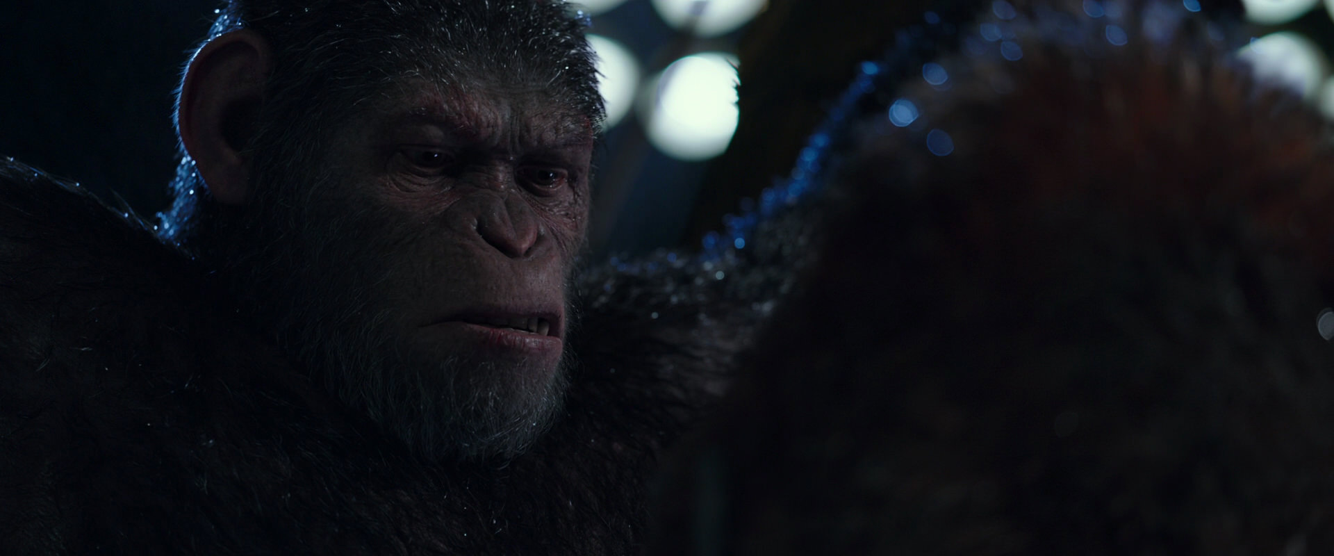 War for the Planet of the Apes (2017) screencap 8886