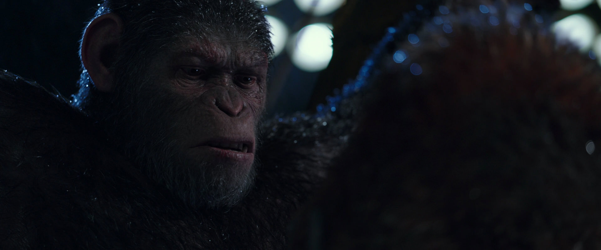 War for the Planet of the Apes (2017) movie still 8887