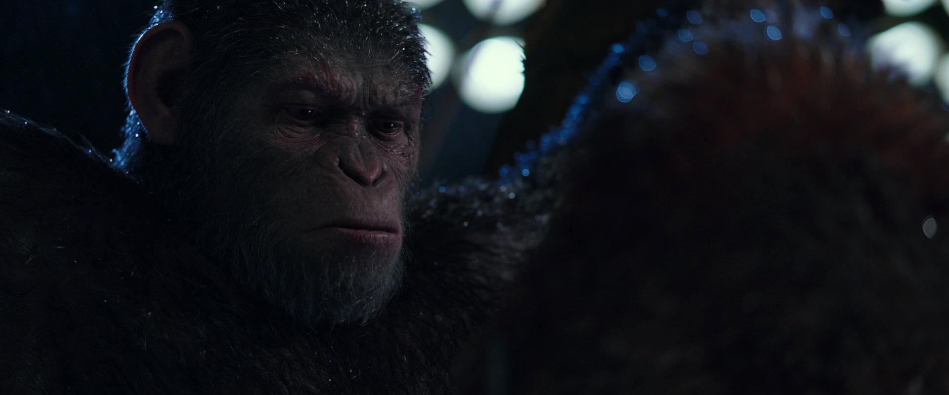 War for the Planet of the Apes (2017) HD screenshot 8888