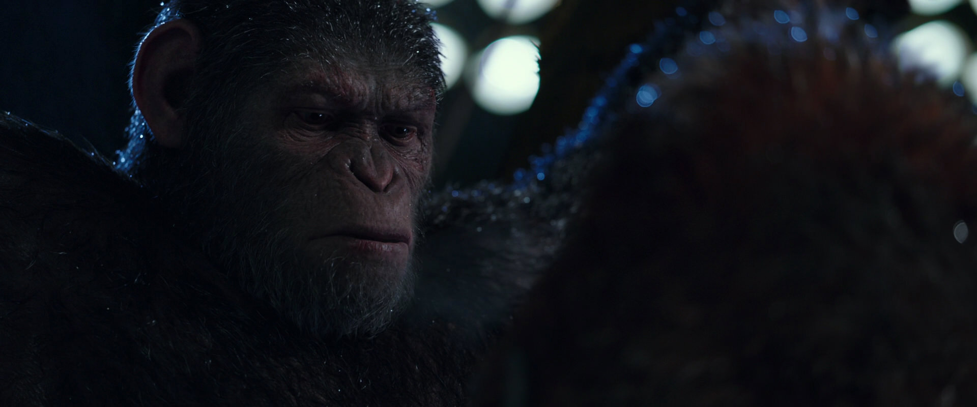 War for the Planet of the Apes (2017) screencap 8889
