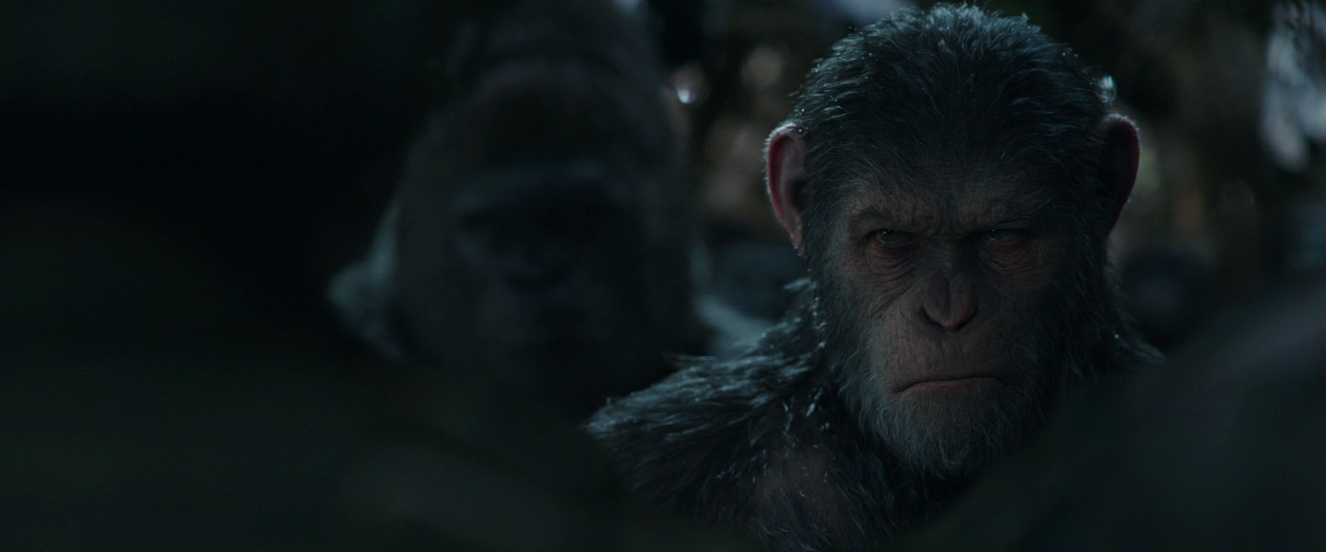 War for the Planet of the Apes (2017) movie still 889