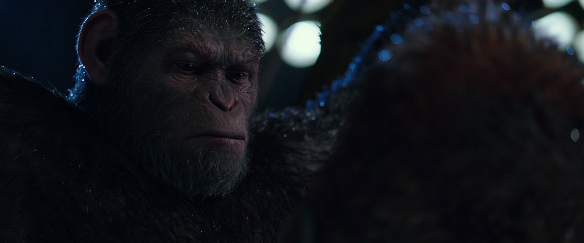 War for the Planet of the Apes (2017) HD screenshot 8891