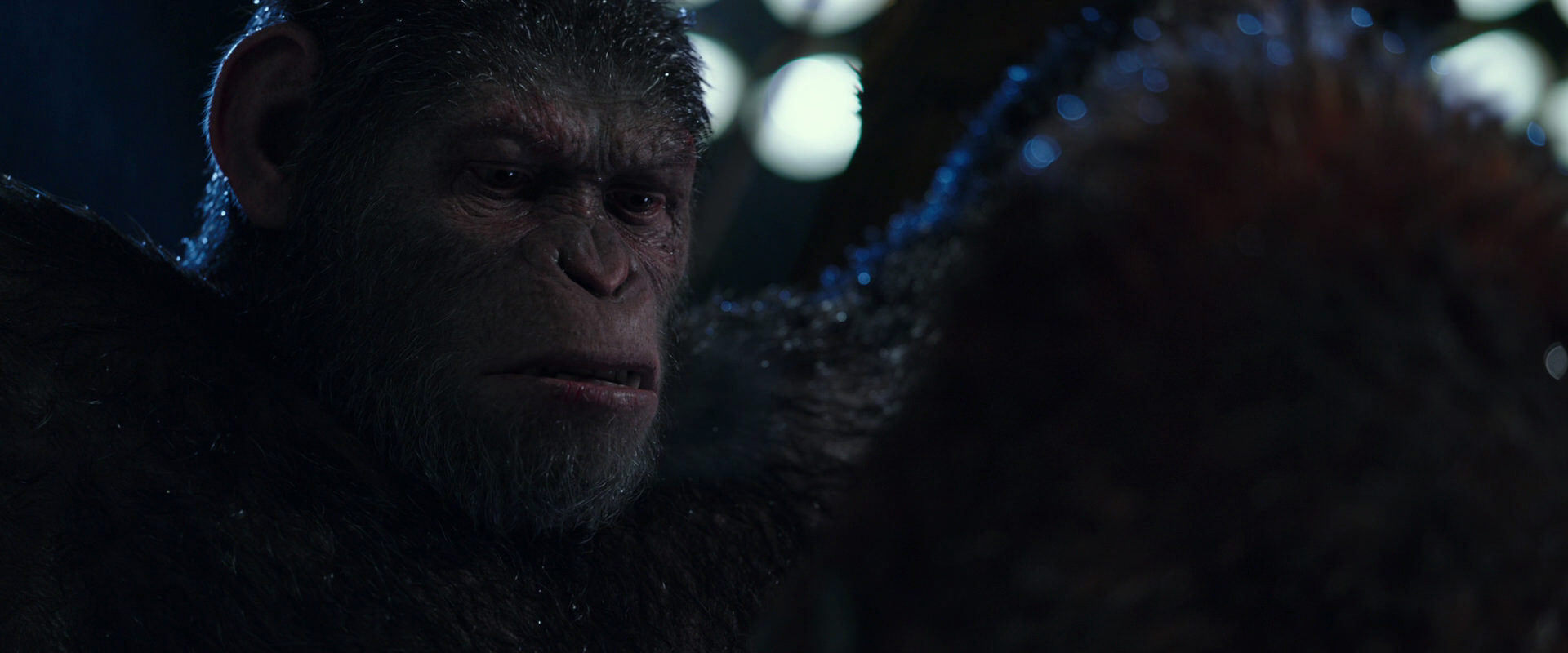 War for the Planet of the Apes (2017) screencap 8892