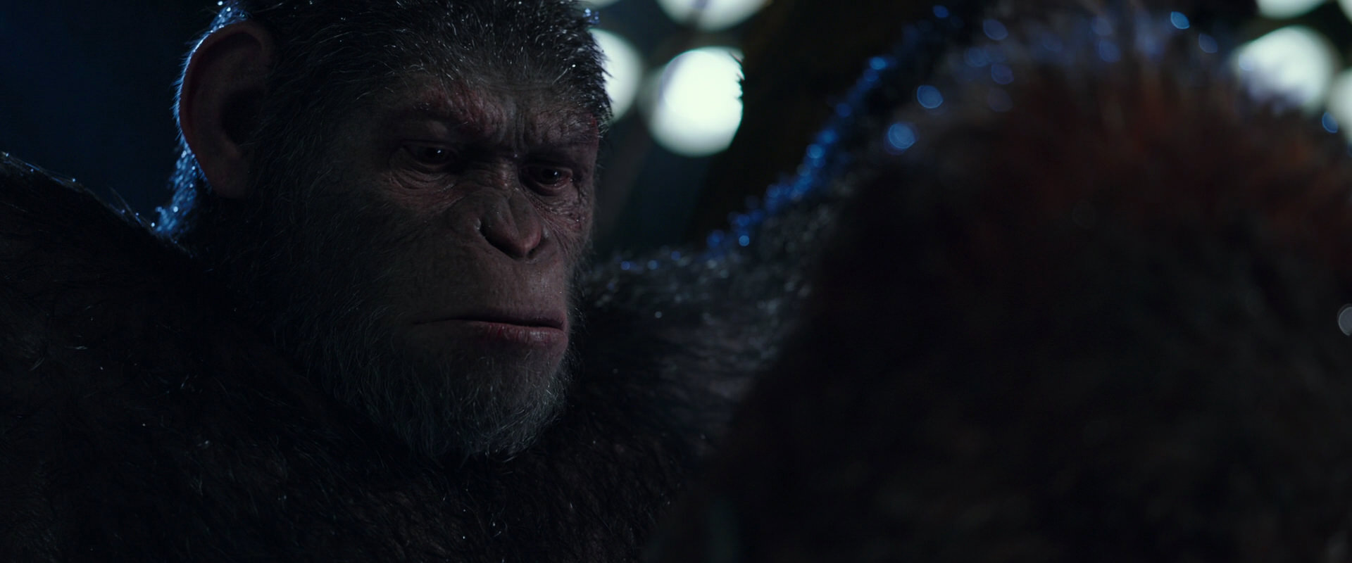 War for the Planet of the Apes (2017) movie still 8893