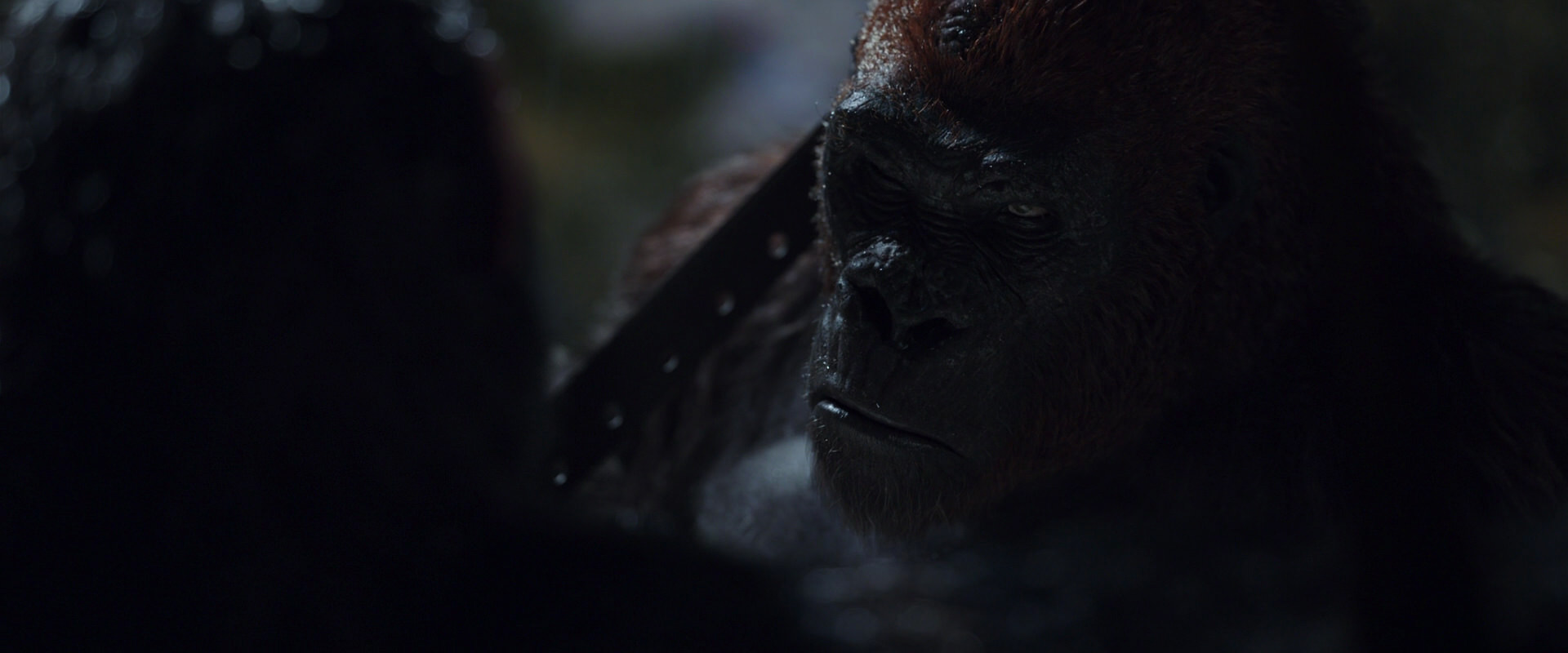 War for the Planet of the Apes (2017) HD screenshot 8894