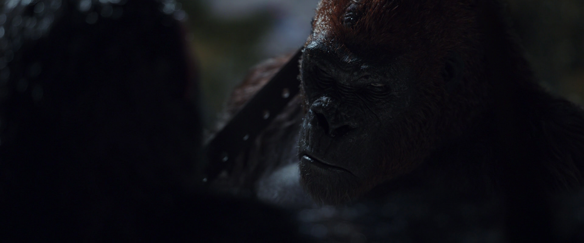 War for the Planet of the Apes (2017) screencap 8895