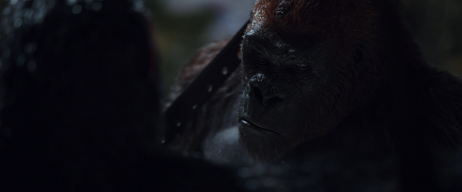 War for the Planet of the Apes (2017) HD screenshot 8897